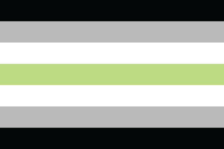 Agender Pride Flag