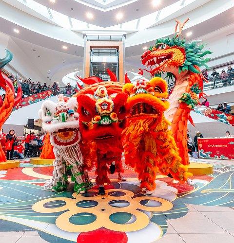 Visitors at a shopping centre enjoying a vibrant lion dance celebrating community and culture