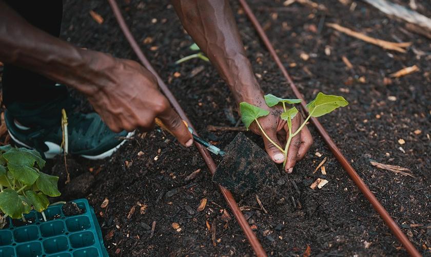 Composting at Scarborough Town Centre turning organic waste into soil and supporting biodiversity