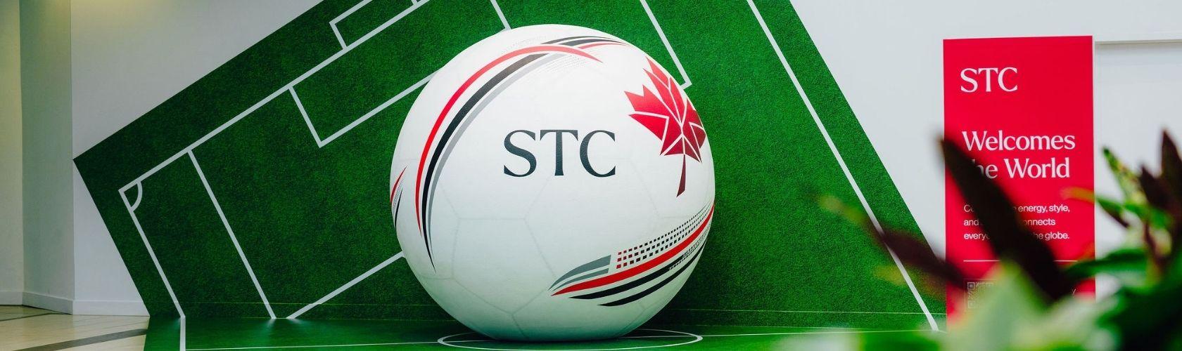Soccer Ball Installation