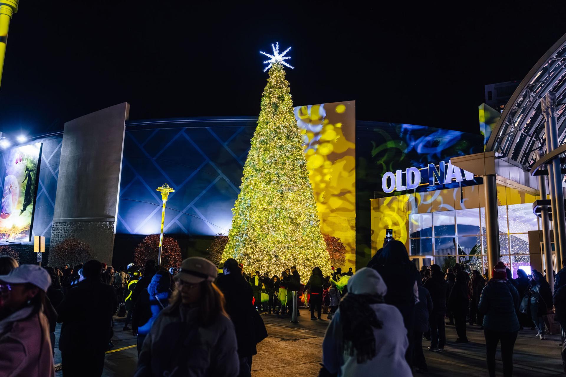 Holiday Tree