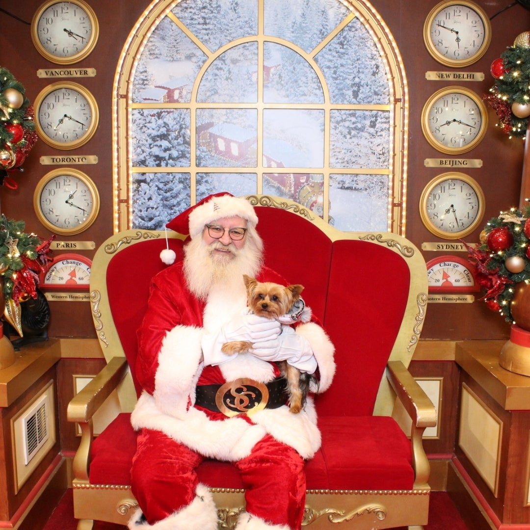 Pet Photo Nights logo