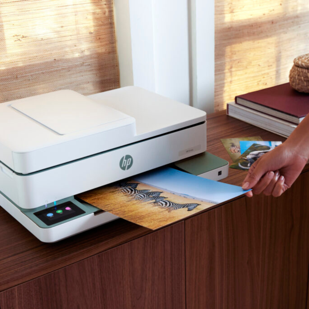 a picture printing from an HP printer