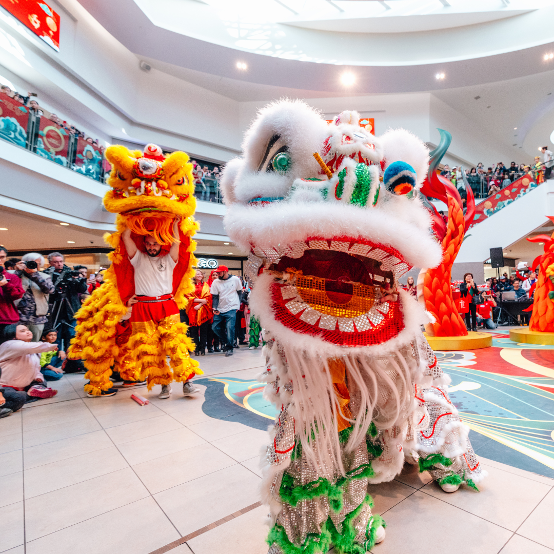 lunar new year dragon dance